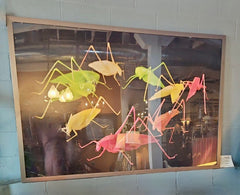 09d719a3-41a9-45a7-992e-2811faa75427