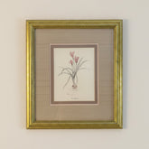 Original Watercolor by Mary Bertrand Limited Edition 1760/1900, "Crocus Botanical", Sku 033791
