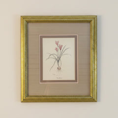 Original Watercolor by Mary Bertrand Limited Edition 1760/1900, "Crocus Botanical", Sku 033791