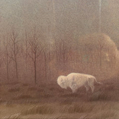 "Spirit's Sign" by Cherokee Artist Donald Vann 569/1800 Editions, Sku 034011