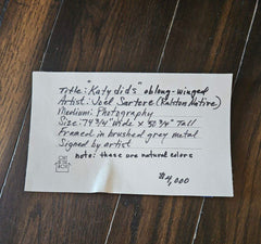 43b71094-9d6e-4b8c-9b77-2bd970d17e86