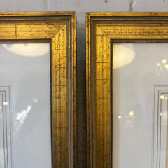 Pair of Antique Botanical Prints Framed in Antiqued Gold Frames, Sku: 033569