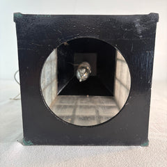 Exterior Wall Sconce Lantern Style Black Finished Steel, Pebbled Glass, Fern Motif, Sku: 033721