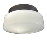 Lightolier Flush-Mount Ceiling Fixture, Brushed Aluminum Collar and Milk Glass Globe, Sku: 033486