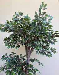 Faux Variegated Ficus Tree in Faux Brass Planter, Sku 034080