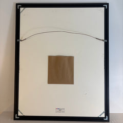Original Framed Serigraph by Robert Hoppe, "Pegasus", Sku 033754