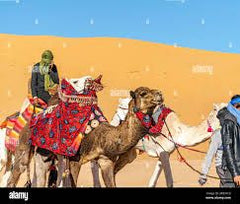 Couleur Locale Tuareg Dromedary Luggage Carrier