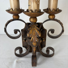 Fine Art Lamps Wall Sconce with Acanthus Leaf Design, Sku 033388