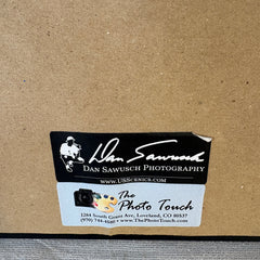 San Sawusch "Morning Glory" at Mesa Arch, Framed Digital Photograph on Canvas, Sku: 033453