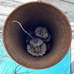 Asian Temple Bell, Cast Iron