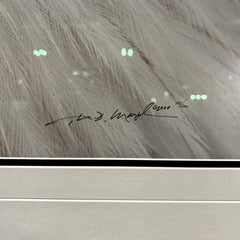 Thomas Mangelsen "Eye of the Wild" Limited Edition Photo Art, Eagle, Framed, Signed