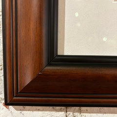 Thomas Mangelsen "Eye of the Wild" Limited Edition Photo Art, Eagle, Framed, Signed