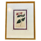 Framed and Matted Print, Botanic Floral, Golden Frame