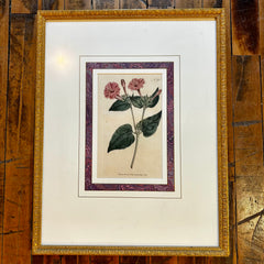 Framed and Matted Print, Botanic Floral, Golden Frame