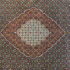 Middle Eastern Hand Knotted Wool Area Rug