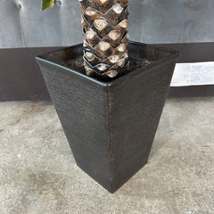 Faux Decorative Tropical Plant in Planter