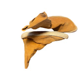 Pair of 1900 Navajo Leather Shoes with Silver Button, Sku: 032406