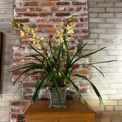 Floral Silk Arrangement of Two Yellow Orchids in Gray Composite Plaster Vase, New