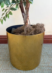 Faux Variegated Ficus Tree in Faux Brass Planter, Sku 034080