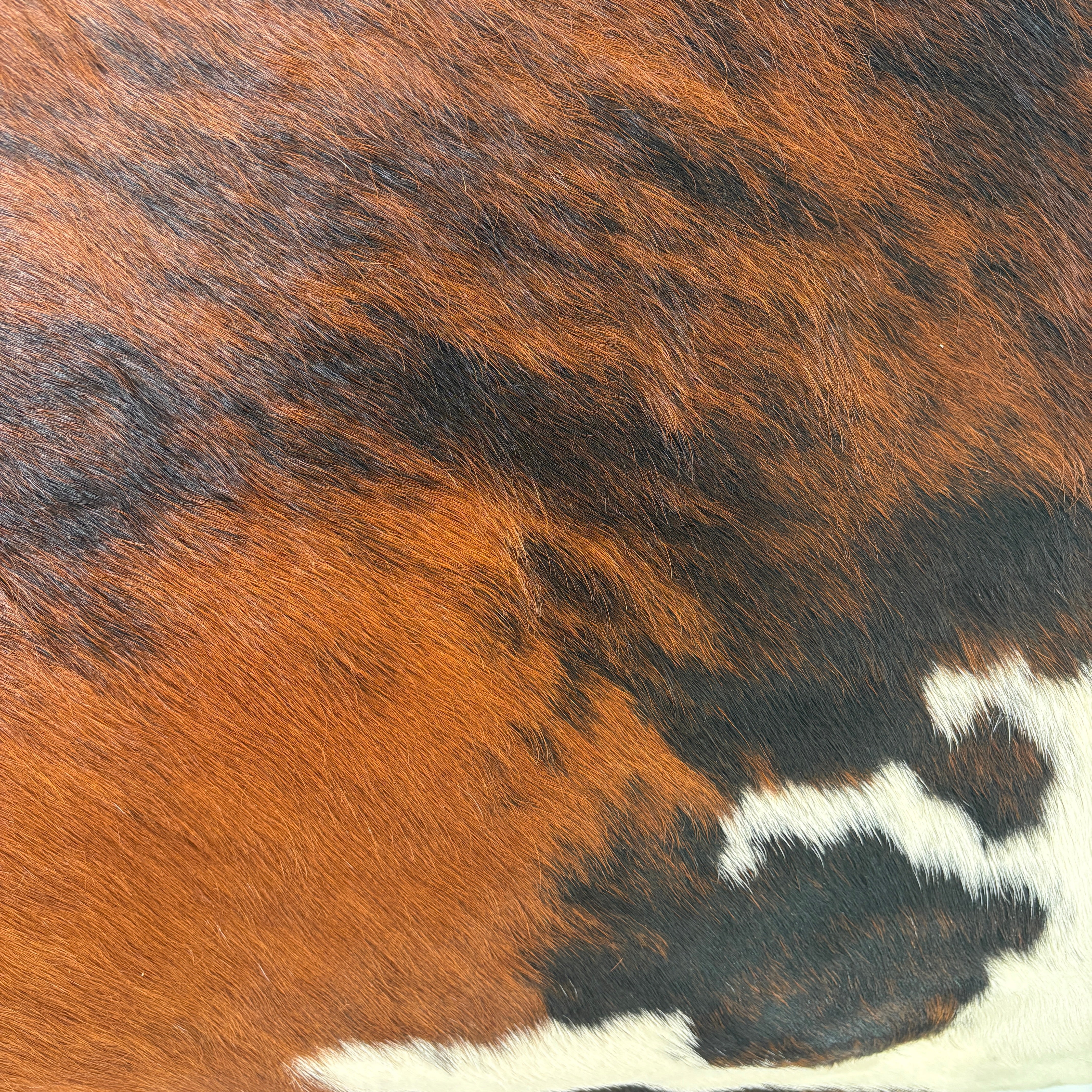 Cowhide Headboard, Sku 033088