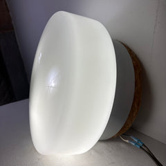 Lightolier Flush-Mount Ceiling Fixture, Brushed Aluminum Collar and Milk Glass Globe, Sku: 033486