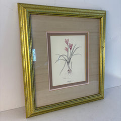 Original Watercolor by Mary Bertrand Limited Edition 1760/1900, "Crocus Botanical", Sku 033791