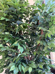 Faux Ficus Tree in Faux Brass Planter, Sku 034081