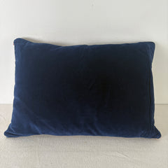 Kilim Pillow, Small Rectangle, Red, Blue, Beige, Cream, Down Filled, Sku: 033135