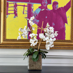 Faux White Orchids in Glass Square Pot