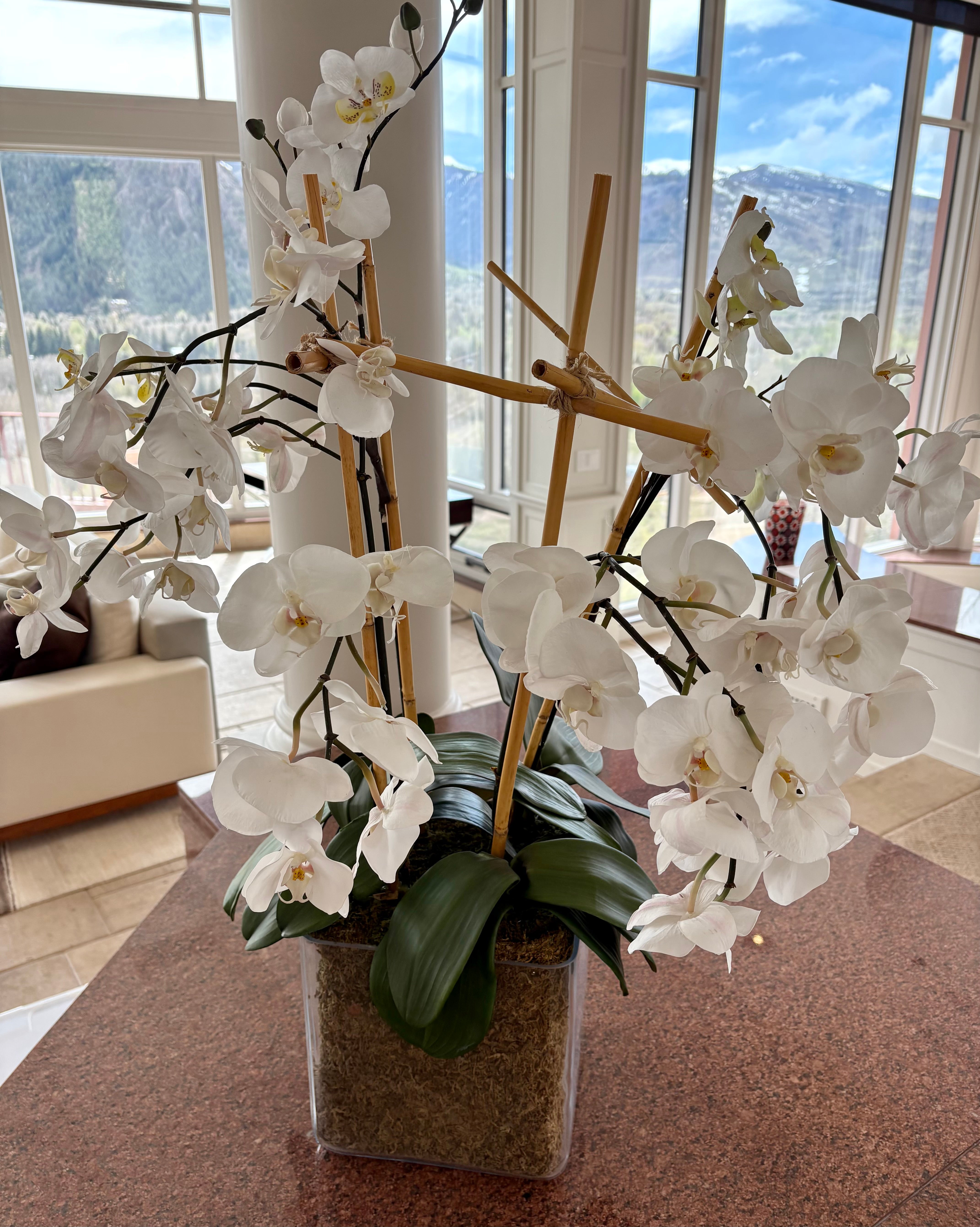 Faux White Orchids in Glass Square Pot