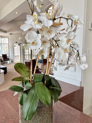 Faux White Orchids in Glass Square Pot