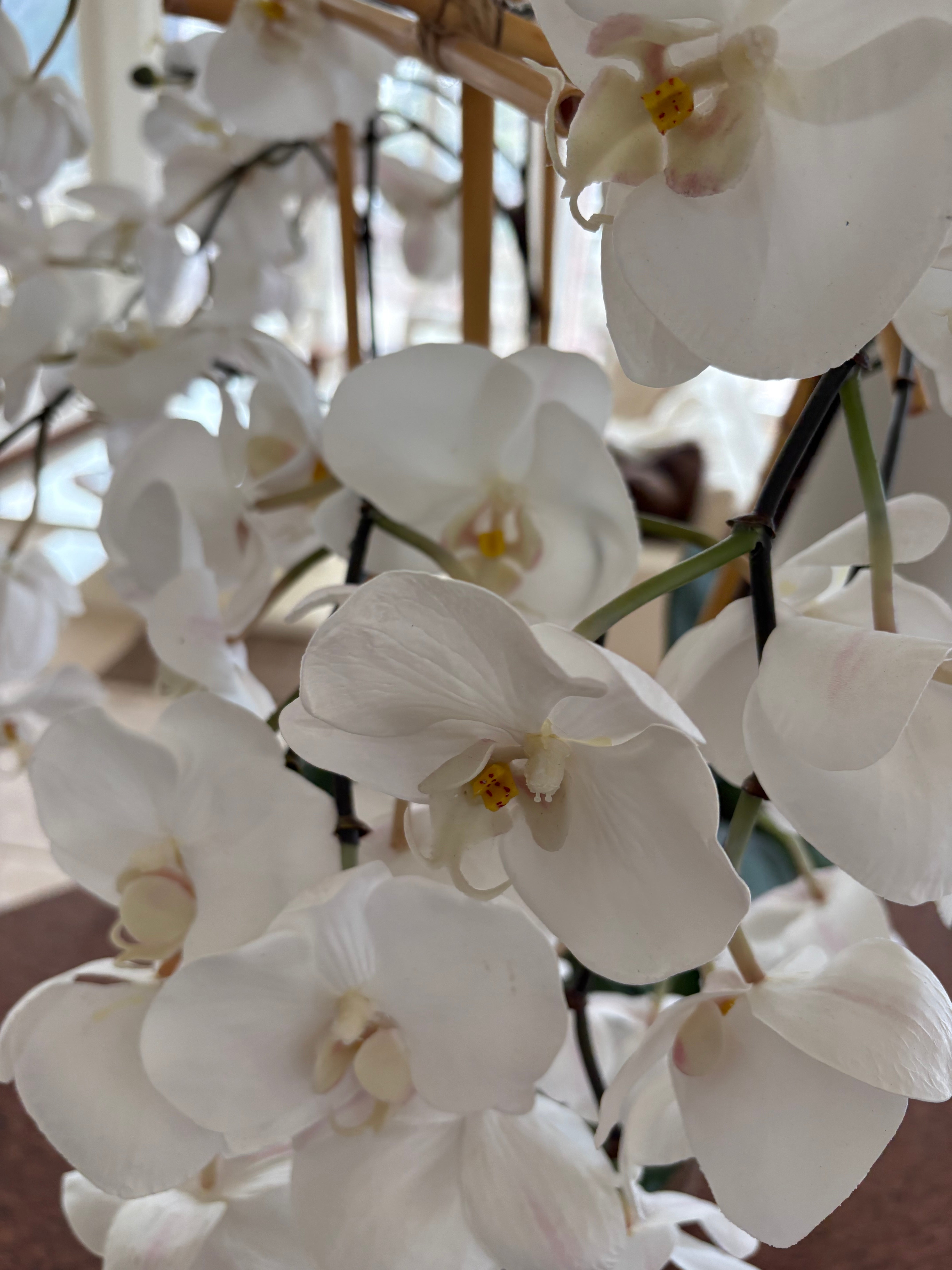 Faux White Orchids in Glass Square Pot