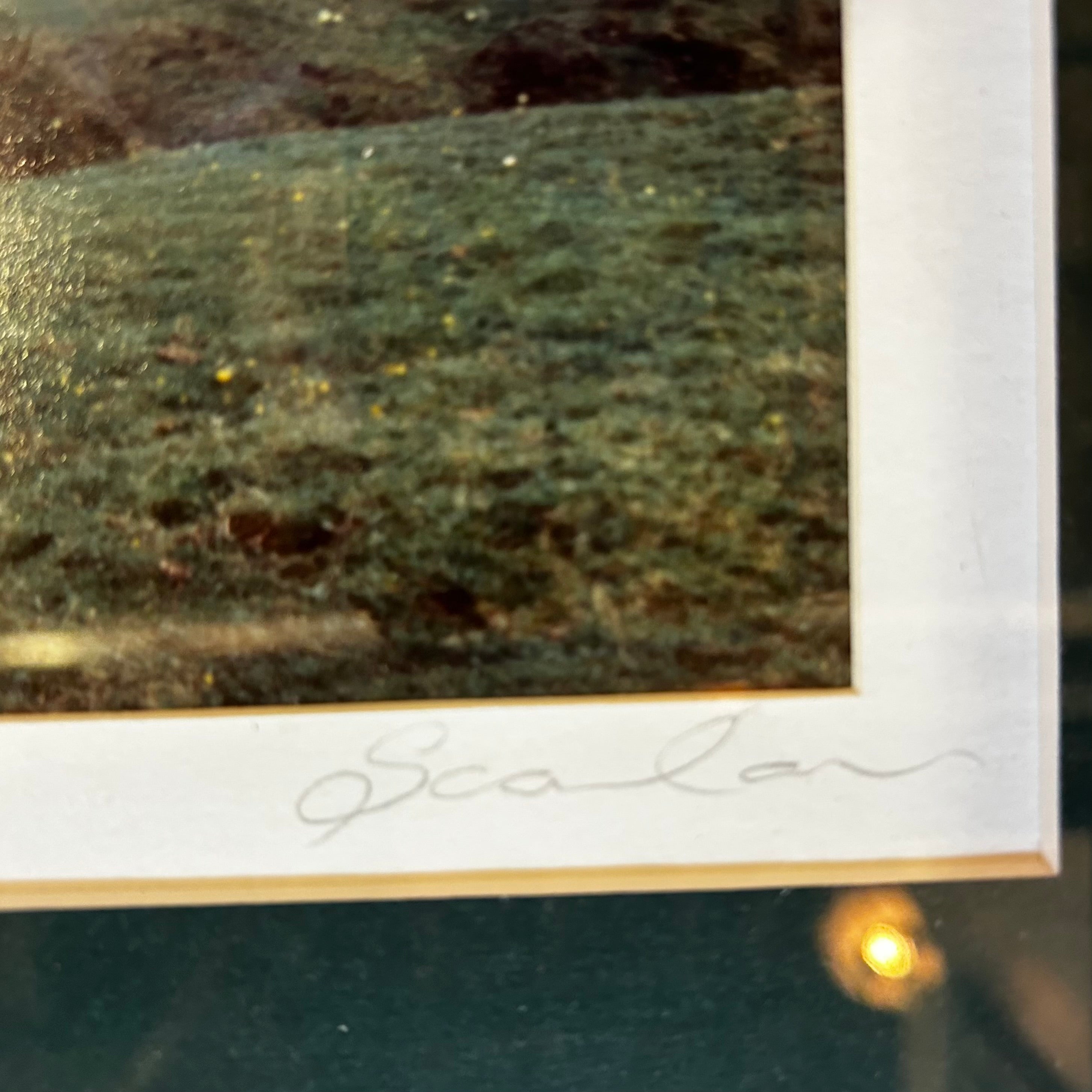 Galway Castle Photo, Framed  & Matted Print, Signed.